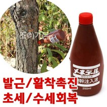 [메네델- 250ml] 식부시 발근활착 초세수세회복