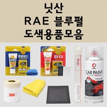 닛산 RAE 블루펄 주문 펄 (2개세트) 자동차 붓펜 카페인트 도색 스프레이 퍼티 컴파운드 차량용, 닛산붓펜:투명마감용붓펜(모비스)