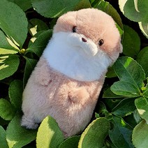 Amuse 어뮤즈 수달인형 키링 10cm 효달이