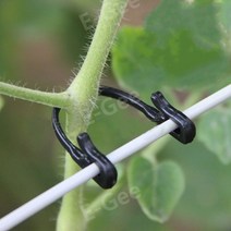 지지대고정끈 1300개 고추대 고정 끈 클립 고정 버클 토마토 오이 묶기