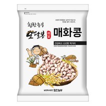 힘찬농부오달봉 수입 매화콩 호랑이콩 강낭콩 울타리콩 새알콩 제비콩, 1포, 수입매화콩10kg(5kg 5kg)