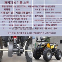 사륜바이크 농업용 사발이 노인전동차 오토바이 사륜, 패키지4오일연소스티어125CC7인치타이어