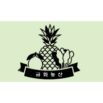 금화)4/1~4/30까지 31 900원 행사 7가지품목!(진지향 천혜향 시즌종료까지판매!), 진지향6팩, 6개