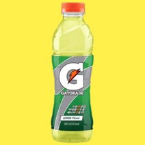 게토레이 레몬 600ml 20페트 스포츠 수분충전 이온음료