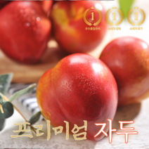 국내산 새콤달콤 하우스 로얄대석 자두 햇 자두 후무사 예비맘 대석자두 로얄과 영동 김천 추희 도담 왕자두 300g 600g 900g, 1개