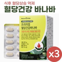 식후 혈당 상승 억제 엔 프리미엄 혈당건강 바나바 리프 영양제 바나바잎 추출물 코로솔산, 3개, 60정