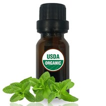 USDA 오가닉 페퍼민트 오일 원액 10ml 유기농 화장품 원료
