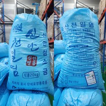 2023년 생산 신안군 천일염 굵은소금 국내산, 1개, 20kg