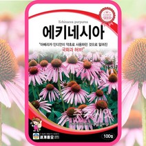 에키네시아씨앗 100립 꽃씨 자주루드베키아 자추국 다년생 echinacea seed, 단품