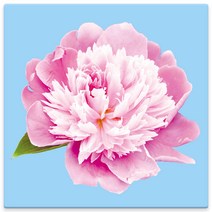 모란꽃 33종 돈들어오는 그림 한국화 캔버스액자 인테리어액자 거실액자 침실액자, 모란꽃28