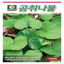 다-곰취나물 100립, 1개
