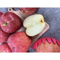 경북 당도높은 홍로 사과 양광 부사 가정용 흠집 못난이 꿀사과 3~10kg, 가정용 중과 3kg(10-14과)