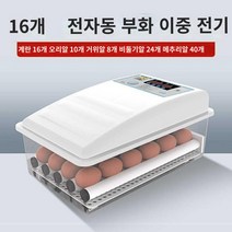 조류 병아리부화기 가정용 소형 달걀 오리 거위 새알 자동 부화 탐구, D
