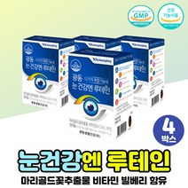 대용량 루테인 뉴테인 로테인 남성 건강식품 4개월분 LUTEIN BILBERRY 20대 30대 40대 50대 눈건강 항산화 복합 기능성 가족 성인 고함량 마리골드꽃