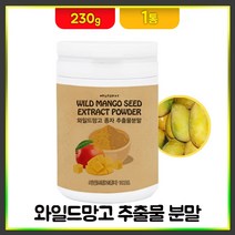 와일드망고 분말 씨앗 가루 종자 추출물 고농축 야생 아프리카 망고 씨드 건강 차 주스 파우더, 230g, 1개