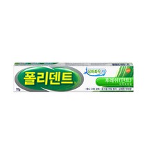 폴리덴트 의치부착제 후레쉬 민트 70g