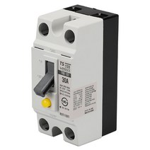 태성 산업용 누전차단기 스위치 TBE-32D 2P 2.5KA 30AF 30A, 일반형, 30A