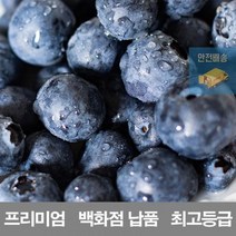 생_블루베리_시세_재배_보관_500g_저장_수입산_백화점_냉동_프리미엄_납품_영화청과 5FDC, 상세페이지 참조