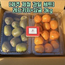 [특별출시]제주해피박스 제주도 제철과일 레드키위 조생감귤 3kg 혼합세트, 레드키위(대과)+감귤(로얄과)3kg