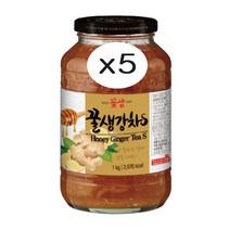 꽃샘 꿀생강차S 1kgx5개, 5, 1kg