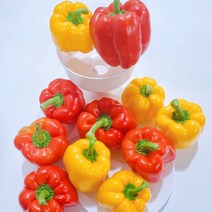 철원 특산물 못난이 파프리카 2kg, 1개