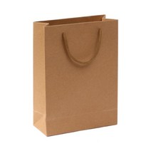 세로형 무지 크라프트지 쇼핑백 13x19cm 쇼핑봉투고급쇼핑백 깔끔한쇼핑백 마트가방 마트봉투 마트장바구니 선물가방 선물백 선물쇼핑백 선물용 선물용쇼핑백 선물용품 선물포장 선물포장쇼핑백 시장가방 시장바구니 장바구니 장바구니가방 귀여운쇼핑백 기성쇼핑백 기프트백 손잡이봉투, 본상품