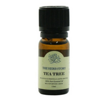 더허브스토리 티트리 에센셜 오일 허브향, 12ml, 1개
