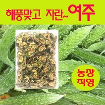 여주 건여주 500g 말린여주 직접재배, 1봉