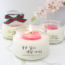 꿈을주는 향기 핸드메이드 소이캔들 잡냄새제거 향초 250ml, 블랙체리