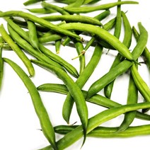 야채24닷컴 생 그린빈스 그린빈 2kg, 1개