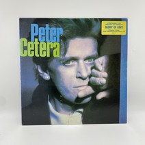 PETER CETERA LP / 엘피 / 음반 / 레코드 / 레트로 / C2177