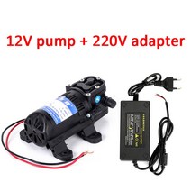 농업용펌프 배수 양수기 원심 펌프, 02 12V-220V