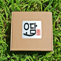 오담견과 견과류선물세트 수제견과류바 견과 선물세트, 20g, 1호(24개, 손잡이상자)