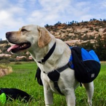 D17 애견용 배낭 카이젠 아웃도어 백팩 XL, 그린, 그린