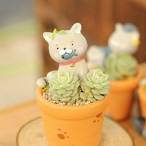 ROOGO 루고 화분 러블리캣 물고기냥이