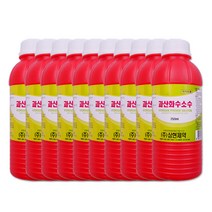 삼현제약 과산화수소 250ml, 10개+맑은누리 손소독티슈