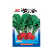 래디쉬 20일무 씨앗 5g 빨간무 붉은색 방울무 경신씨앗, 1개