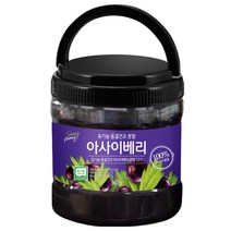 성풍 12배 아사이베리 분말, 360g, 1개