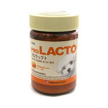 프로락토 프로본 프로비타 프로코트 강아지 고양이 유산균 관절 슬개골 피부 비타민 영양제, 1개, 프로락토(치즈)