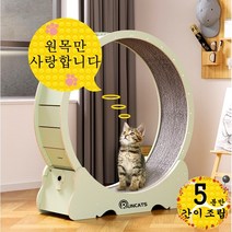 RUNCATS 무소음 간단 설치 캣휠 고양이캣휠, 간단 설치S(83*36*92), 아보카도 그린