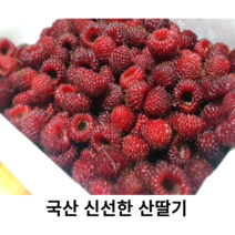 국내산 신선한 산딸기 500g 1kg 2kg 국산 달콤한 산딸기 햇 생과 산딸기 싱싱한 산딸기 산지직송 냉동 산딸기 제철과일 건강식, 산딸기 생과2kg