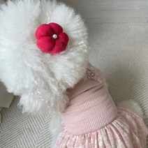 그루밍독 반려동물 핸드메이드 족두리, 레드