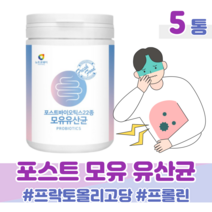 모유 유래 유산균 락토 바실러스 가세리 루테리 4세대 프로 바이오틱스 포스트 바이오틱스 유산균 배양 건조물 위대한 V133 비피더스균 비타민C 홈쇼핑 영양제 비교, 5통, 3000mg x 76회 (하루1회)