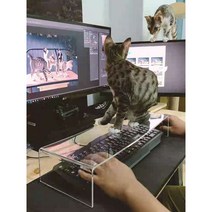 홈오피스 투명 아크릴 키보드 커버 고양이 애완동물 방해 금지 테이블 정리 선반 보호 자판 패드, 1개, 50 X 22 X 10cm 두께 1cm