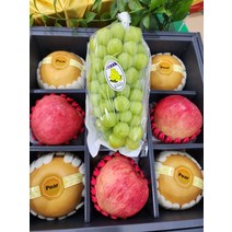 스쿠티 추석 과일선물세트 홍로사과3 신고배4 샤인머스켓1 총8과 4.2kg