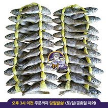 생선포장 관련 상품 TOP 추천 순위