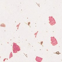 [홈앤스쿨] 예한 예쁜한지 꽃가루지 전통 자연 수제 고급 한지, 02번