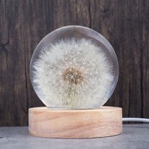 8cm 볼형 몰드 LED조명, 8cm 볼 몰드