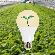 레드일렉트릭 LED 식물등 12W 램프 식물 조명 생장등 성장등, 식물벌브3000K 키다리