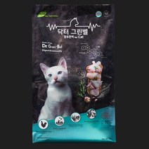 반려동물수목장 대나무 애완 동물 Cinerary 관 상자 개와 고양이 작은 장례식 제품 기념